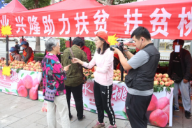 yl23455����(�й�)���޹�˾����